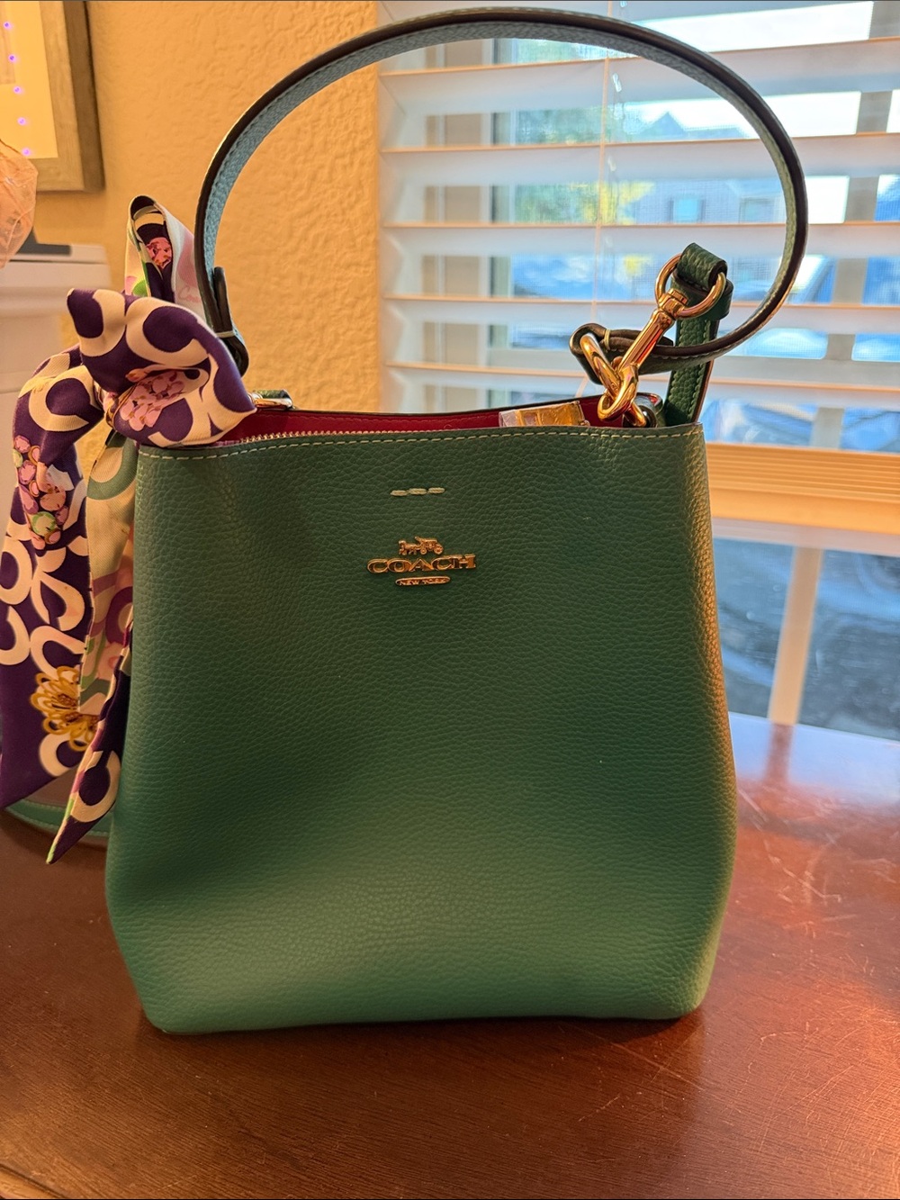 Coach Green Pebble Leather Bucket Bag with Coach Patterned Scarf